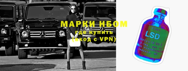 индика Дмитровск