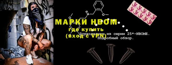индика Дмитровск