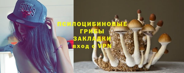 дмт Дмитриев