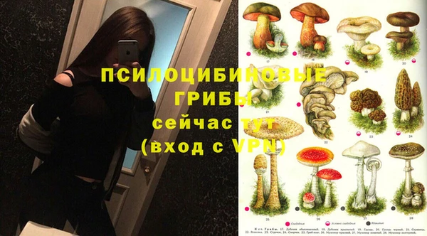 индика Дмитровск