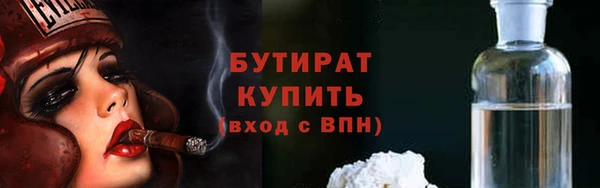 индика Дмитровск