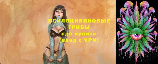 мескалин Гусиноозёрск