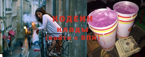 индика Дмитровск