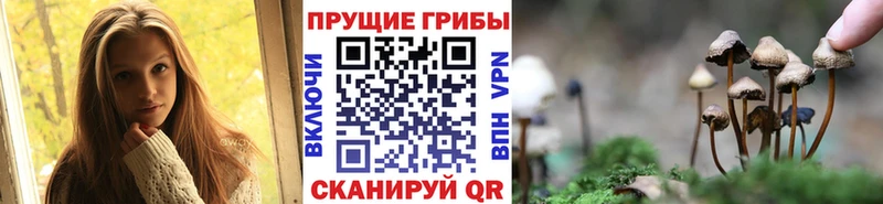 Псилоцибиновые грибы мухоморы  Купить где  Лысьва 