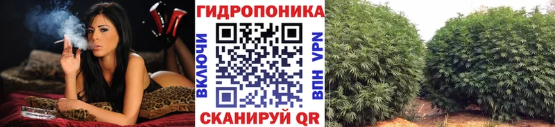 Шишки марихуана тримм  Купить закладки  Лысьва 